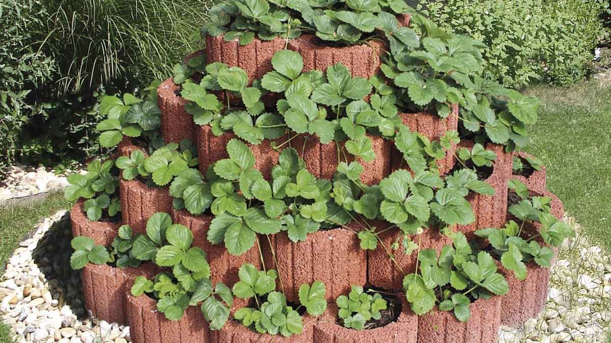 SEMMELROCK Rundflor svahová tvárnice