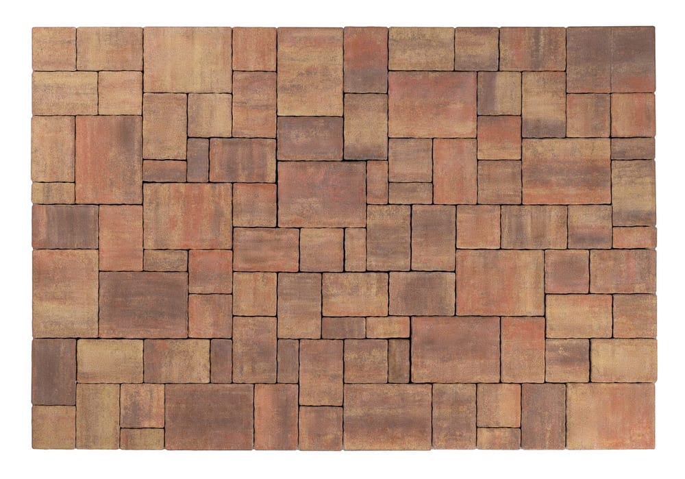 BEST-ARCHIA/8CM COLORMIX P