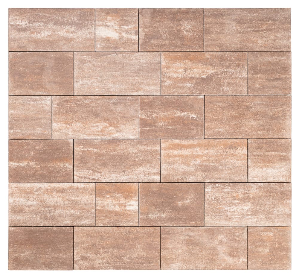 BEST-BELEZA /6CM STANDARD — COLORMIX MOKA