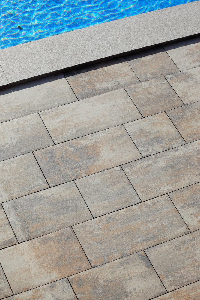 BEST-BELEZA /8CM — COLORMIX ARABICA