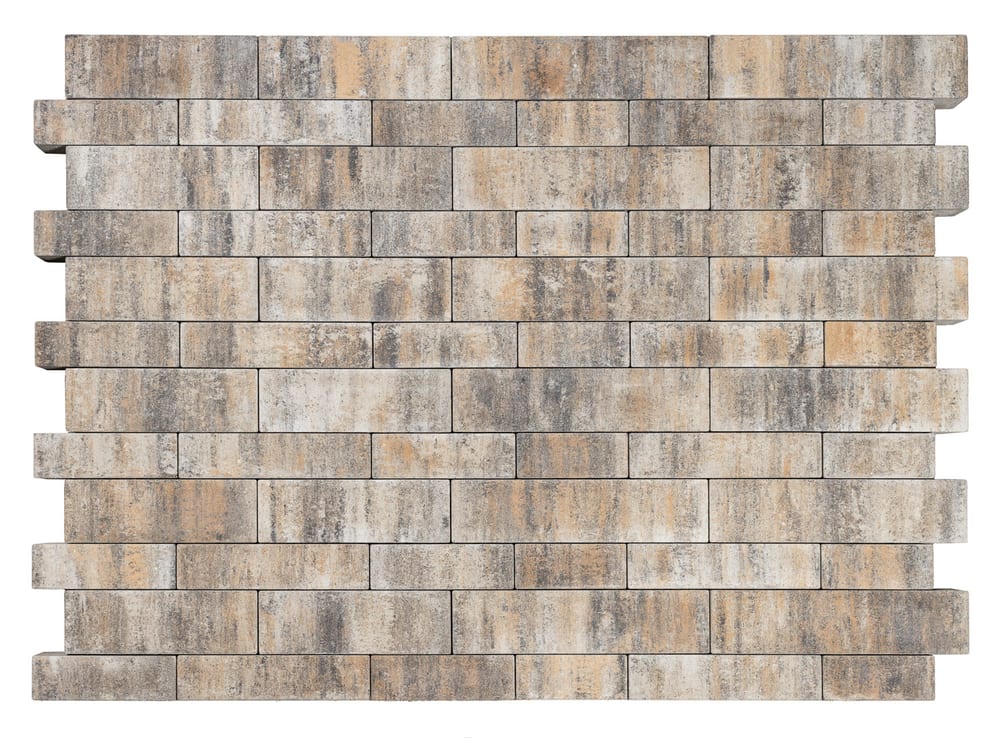 BEST-OLYMPIA/8CM — COLORMIX ARABICA