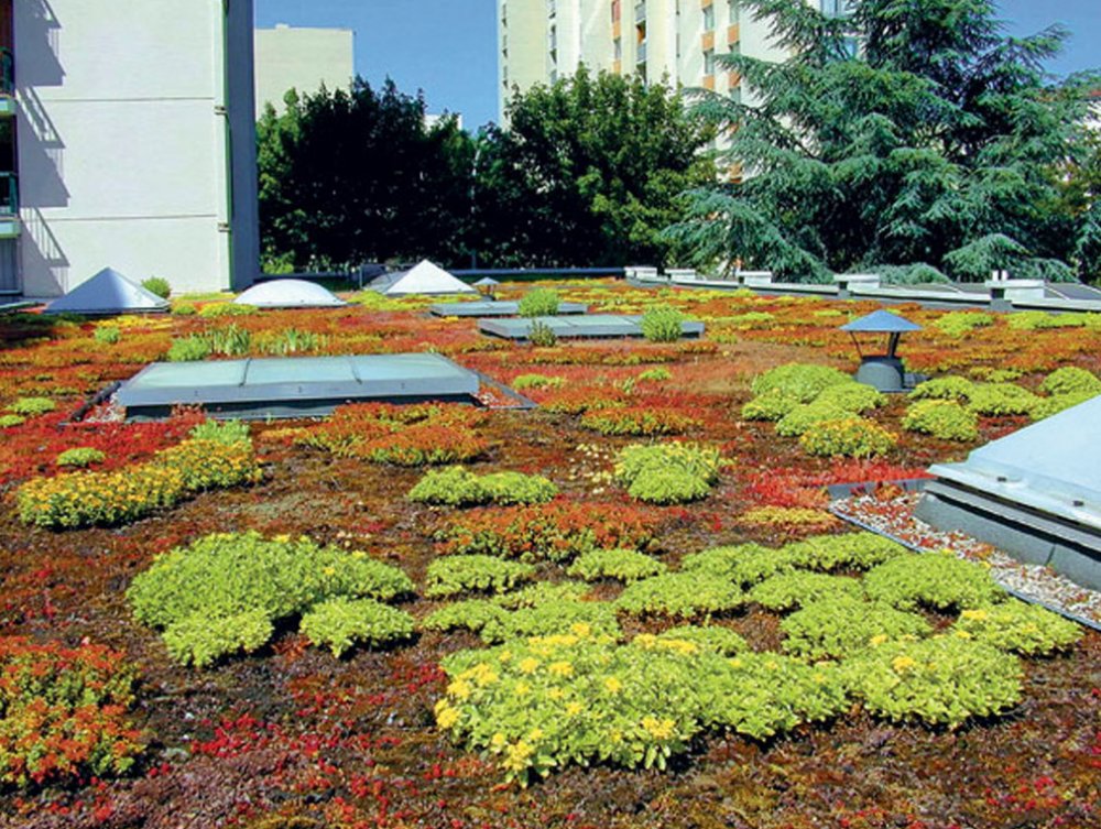 Nopová fólie Maxistud T20 Garden