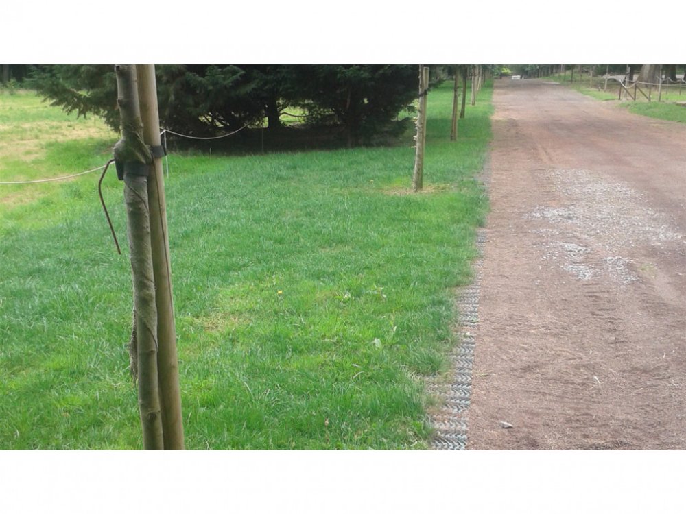 Zatravňovací rohož GR - Varianta: 1400 g/m², Rozměr: 2 x 20 m