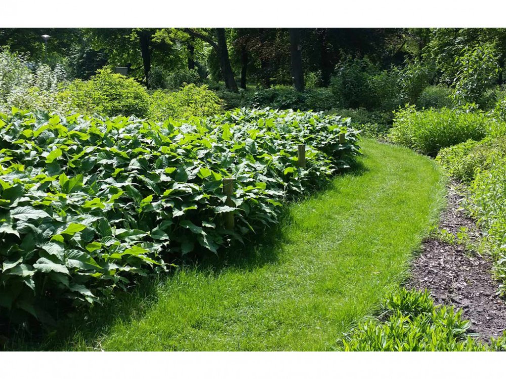 Zatravňovací rohož GR - Varianta: 1400 g/m², Rozměr: 2 x 20 m