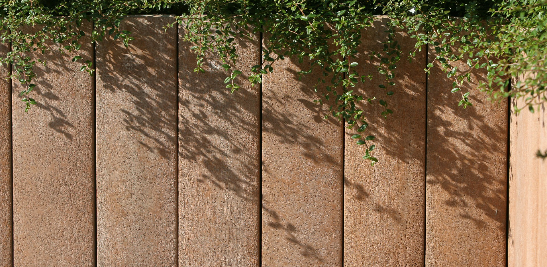CSBETON - Palisáda Lena 120 cm — foto