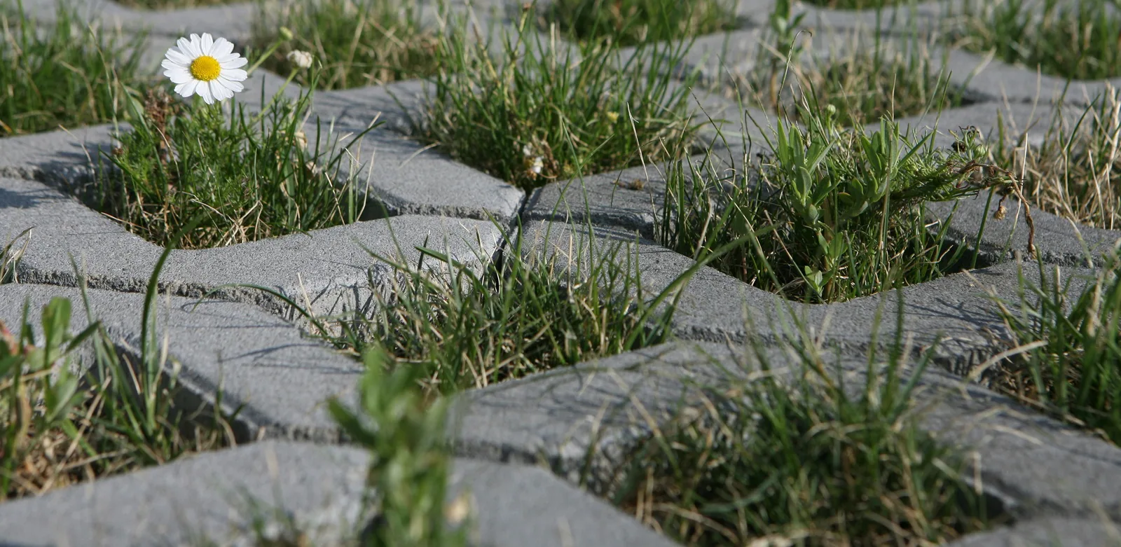 CSBETON - Vegetační tvárnice velká základní kámen 8 cm — foto