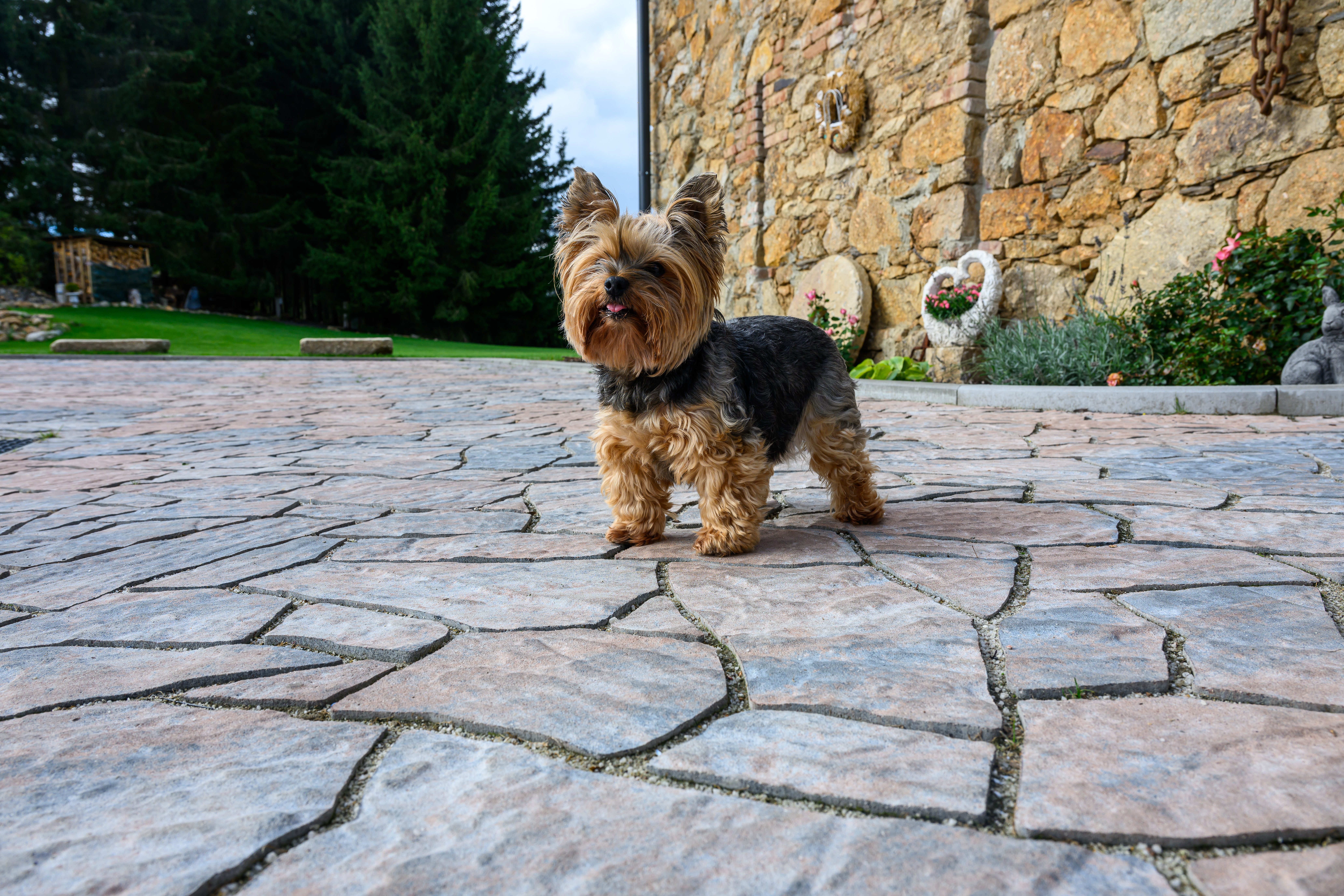 CSBETON - Skladebná dlažba Cantera 8 cm — foto