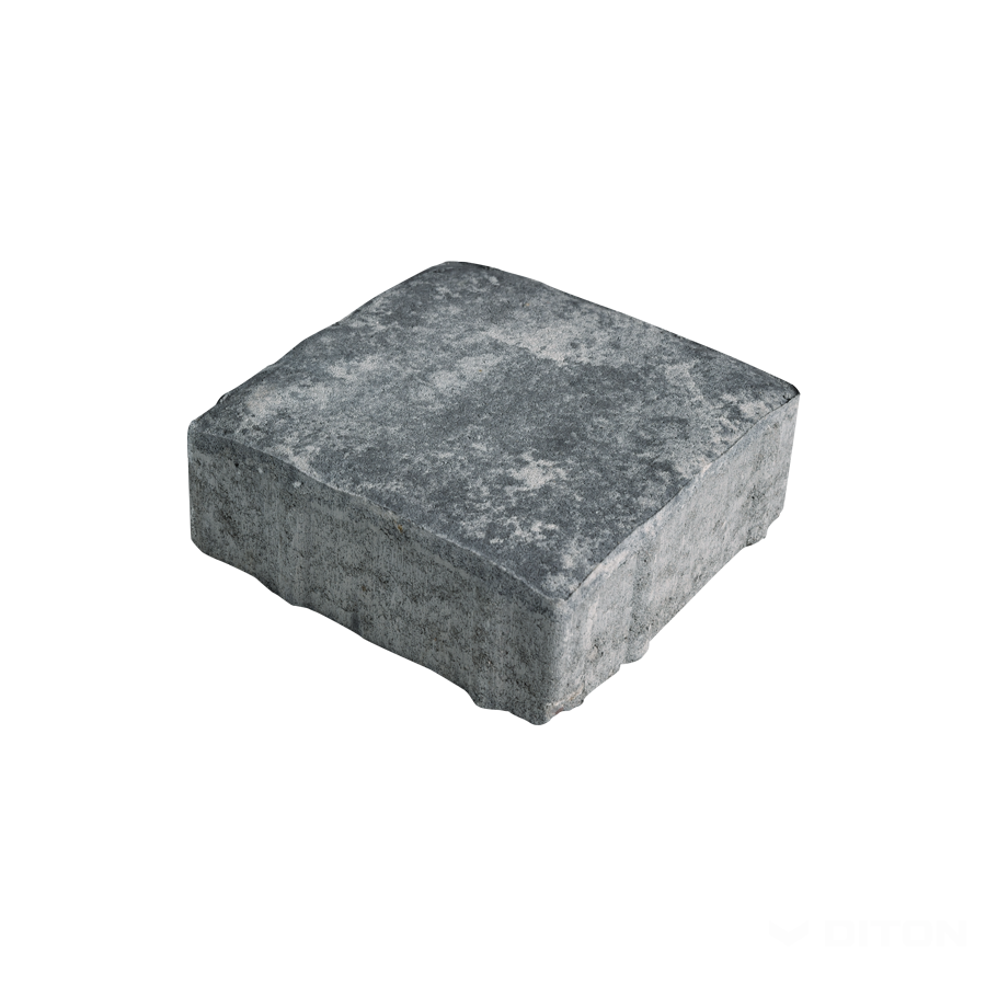 DITON - Rocco I. 6