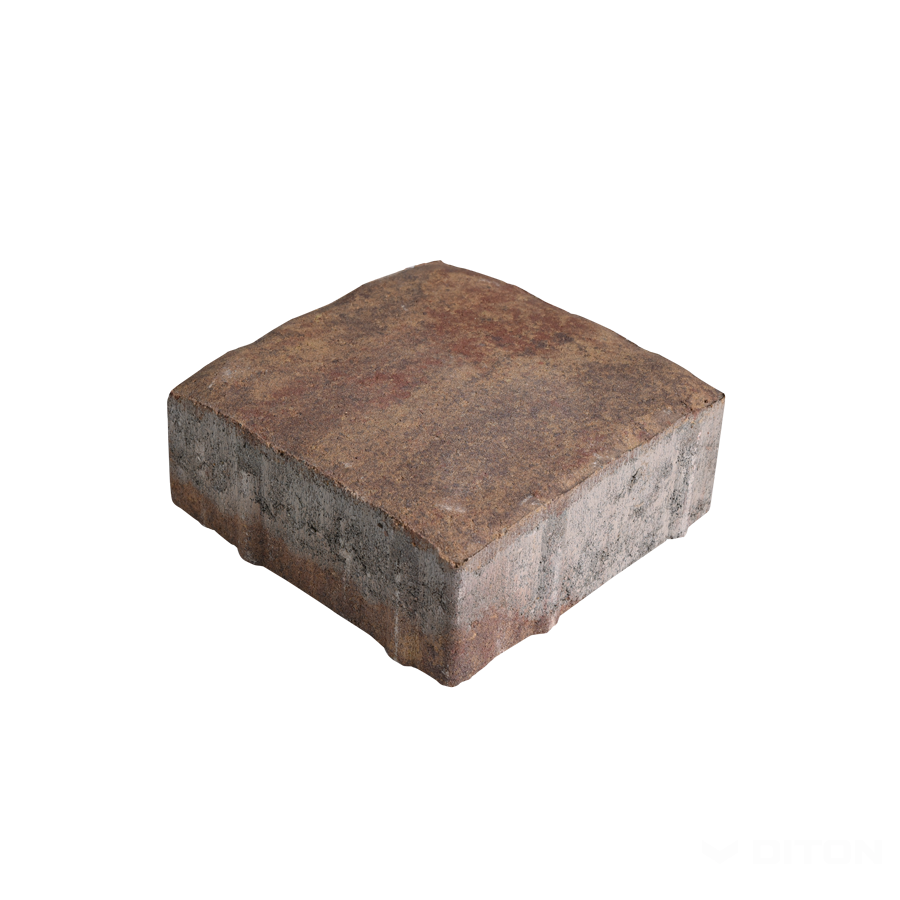 DITON - Rocco I. 6 — tropico