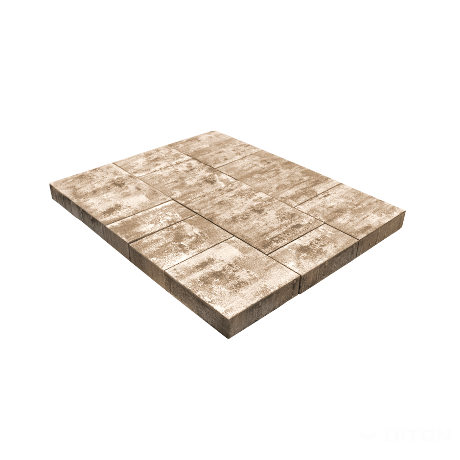 DITON - Module — latte