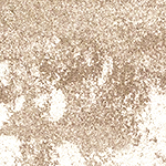 DITON - Module
