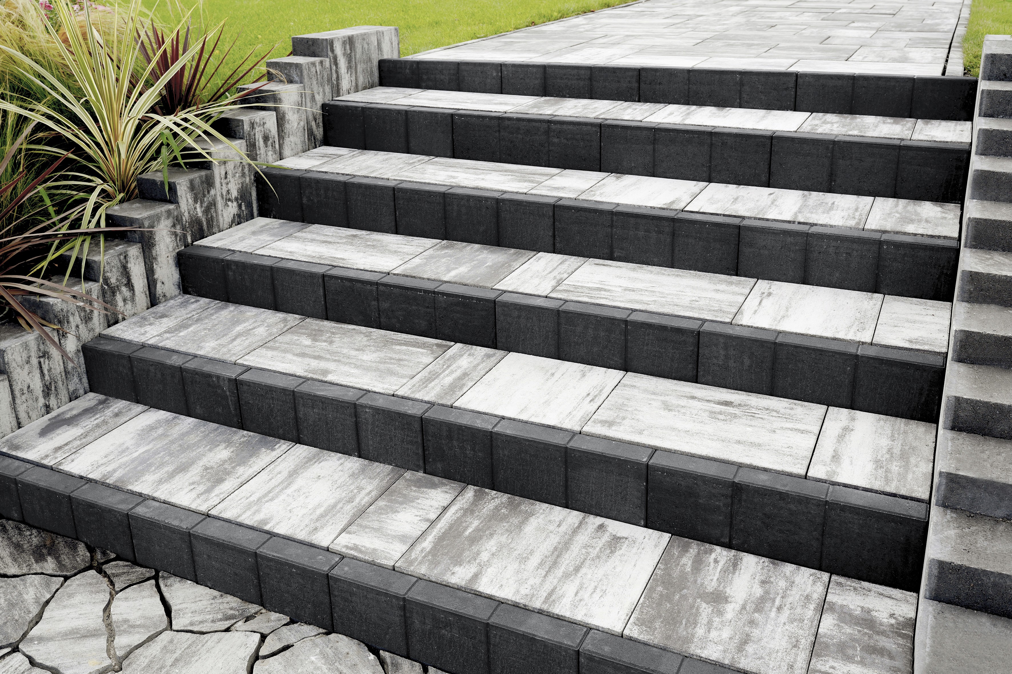 Palisáda Quadra 15x15x50 - Standard Prato
